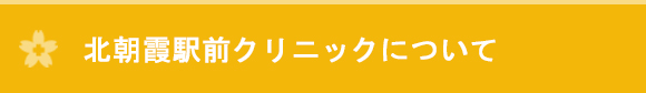 北朝霞駅前クリニックについて